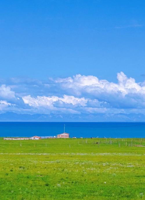 Media urged to harness technology